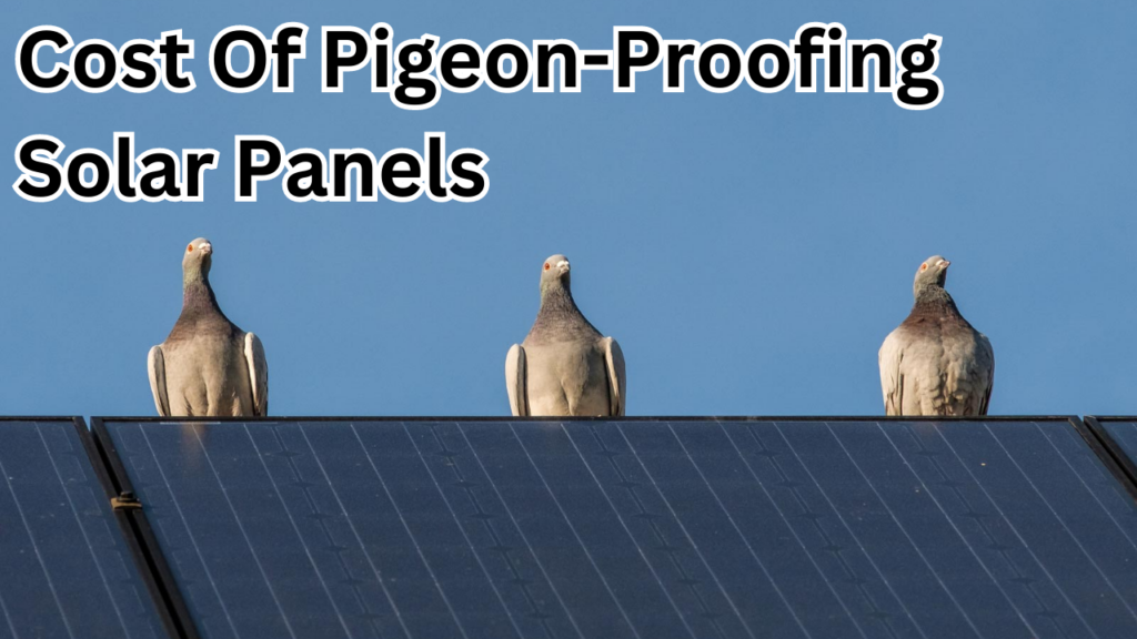 How Much Does It Cost To Pigeon Proof Solar Panels